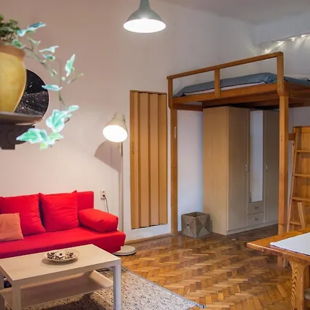 Pine Tree In Historical Centre Apartment Pecs