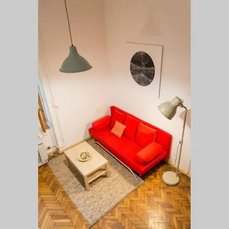 Pine Tree In Historical Centre Beci