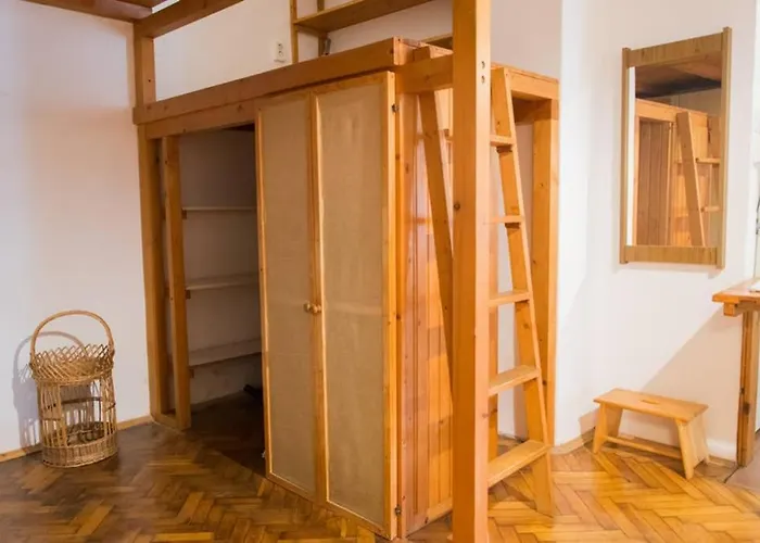 Pine Tree In Historical Centre *