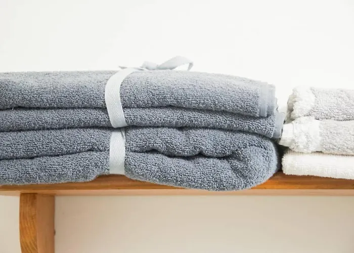 Pine Tree In Historical Centre * 페치