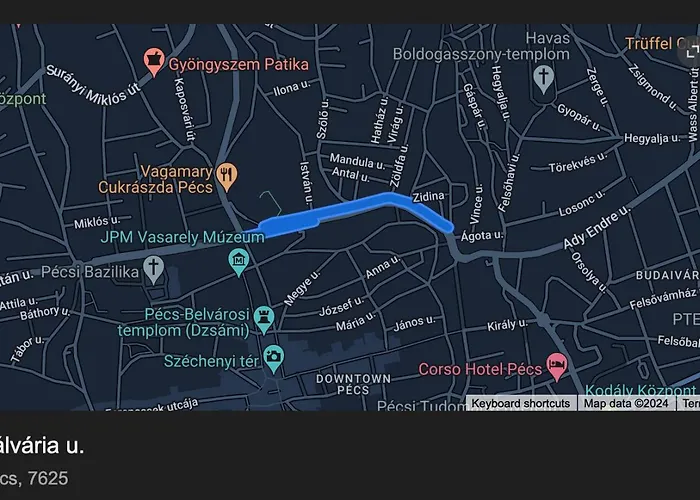 Pine Tree In Historical Centre 페치