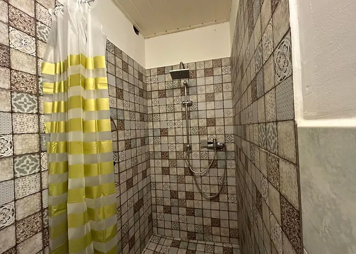 Pine Tree In Historical Centre * 페치